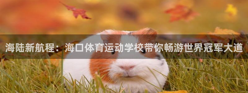 中欧体育ios：海陆新航程：海口体育运动学校带你畅游世界冠军大道