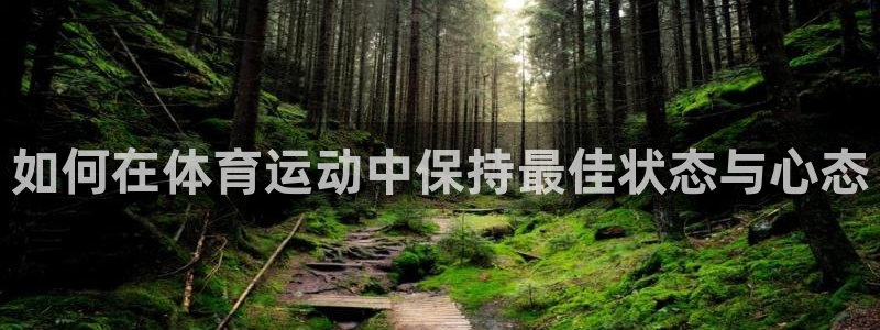 中欧体育集团：如何在体育运动中保持最佳状态与心态