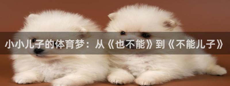中欧体育网页登录：小小儿子的体育梦：从《也不能》到《不能儿子》