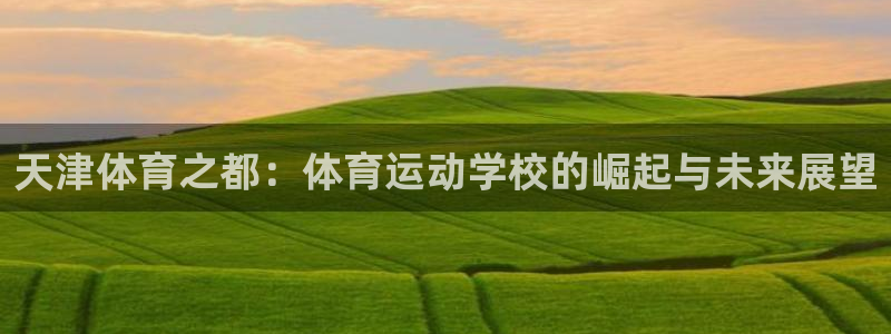 中欧体育下载：天津体育之都：体育运动学校的崛起与未来展望
