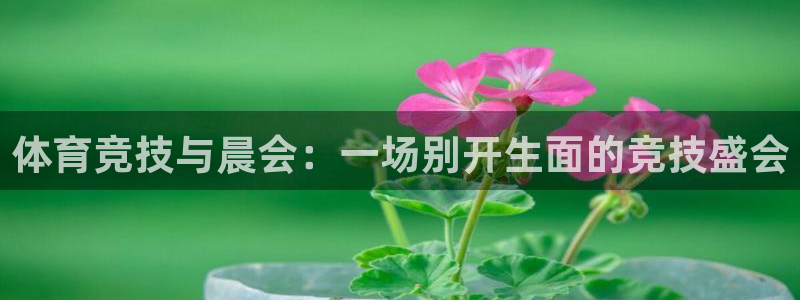 中欧体育：体育竞技与晨会：一场别开生面的竞技盛会