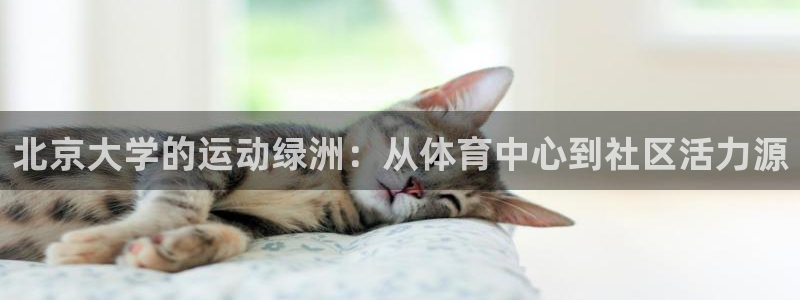 kok中欧体育登录：北京大学的运动绿洲：从体育中心到社区活力源