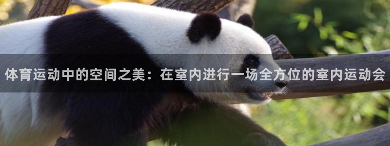 中欧体育ac米兰：体育运动中的空间之美：在室内进行一场全方位的室内运动会