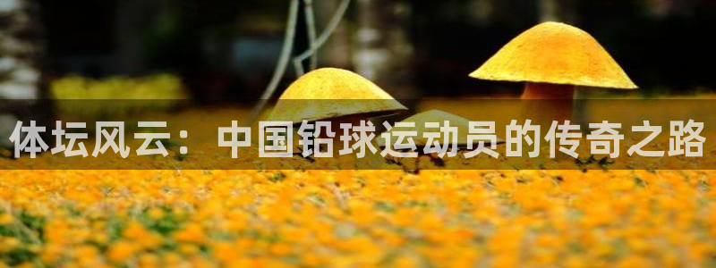 中欧体育官网入口：体坛风云：中国铅球运动员的传奇之路