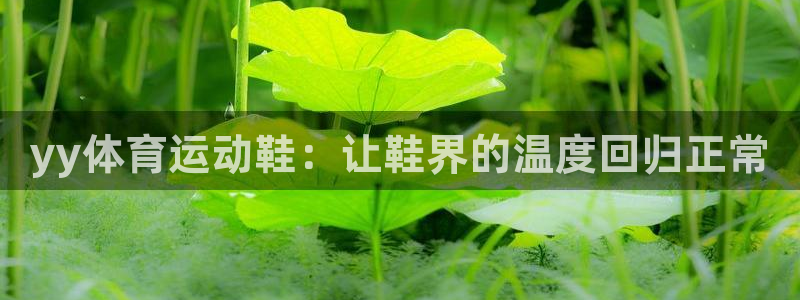 中欧体育网页登录：yy体育运动鞋：让鞋界的温度回归正常