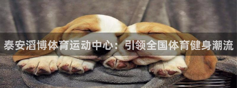 中欧体育网站：泰安滔博体育运动中心：引领全国体育健身潮流