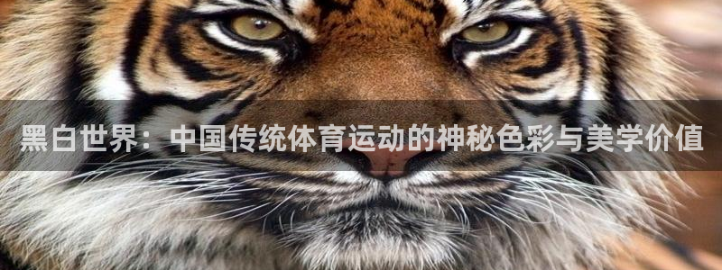zyty中欧体育平台：黑白世界：中国传统体育运动的神秘色彩与美学价值